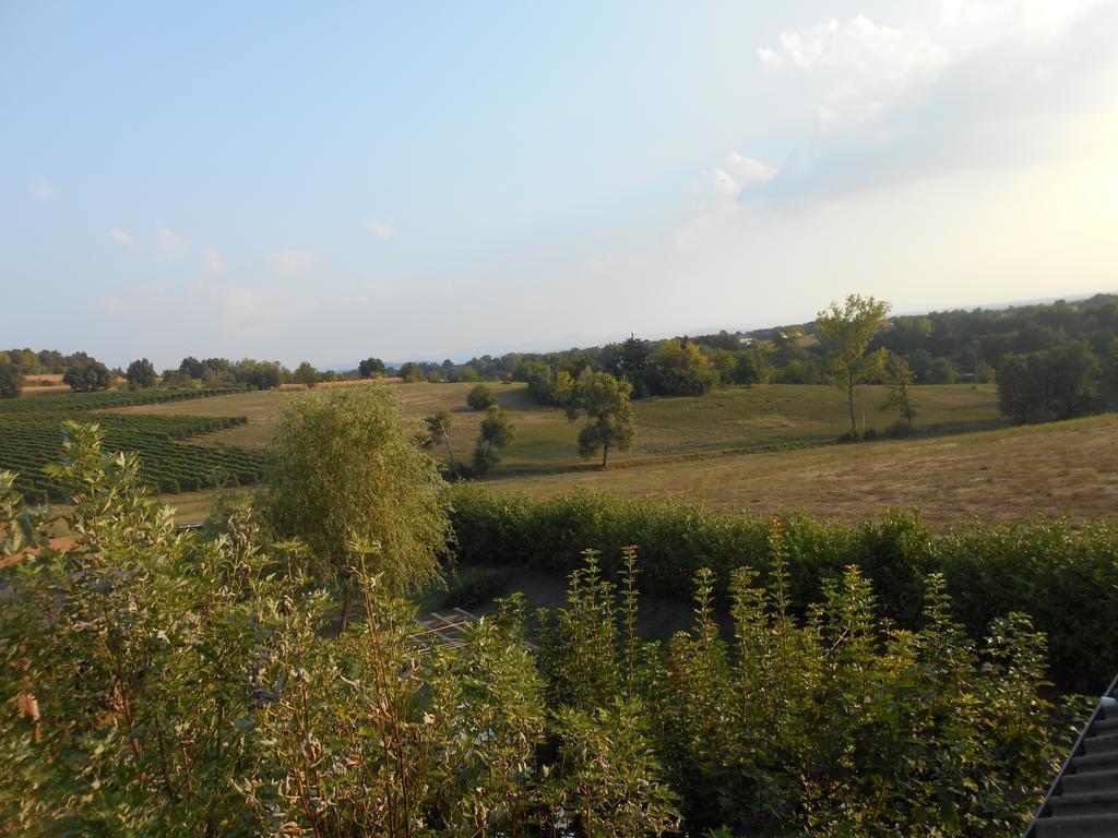 Villa Carmen Spineto Scrivia Екстериор снимка